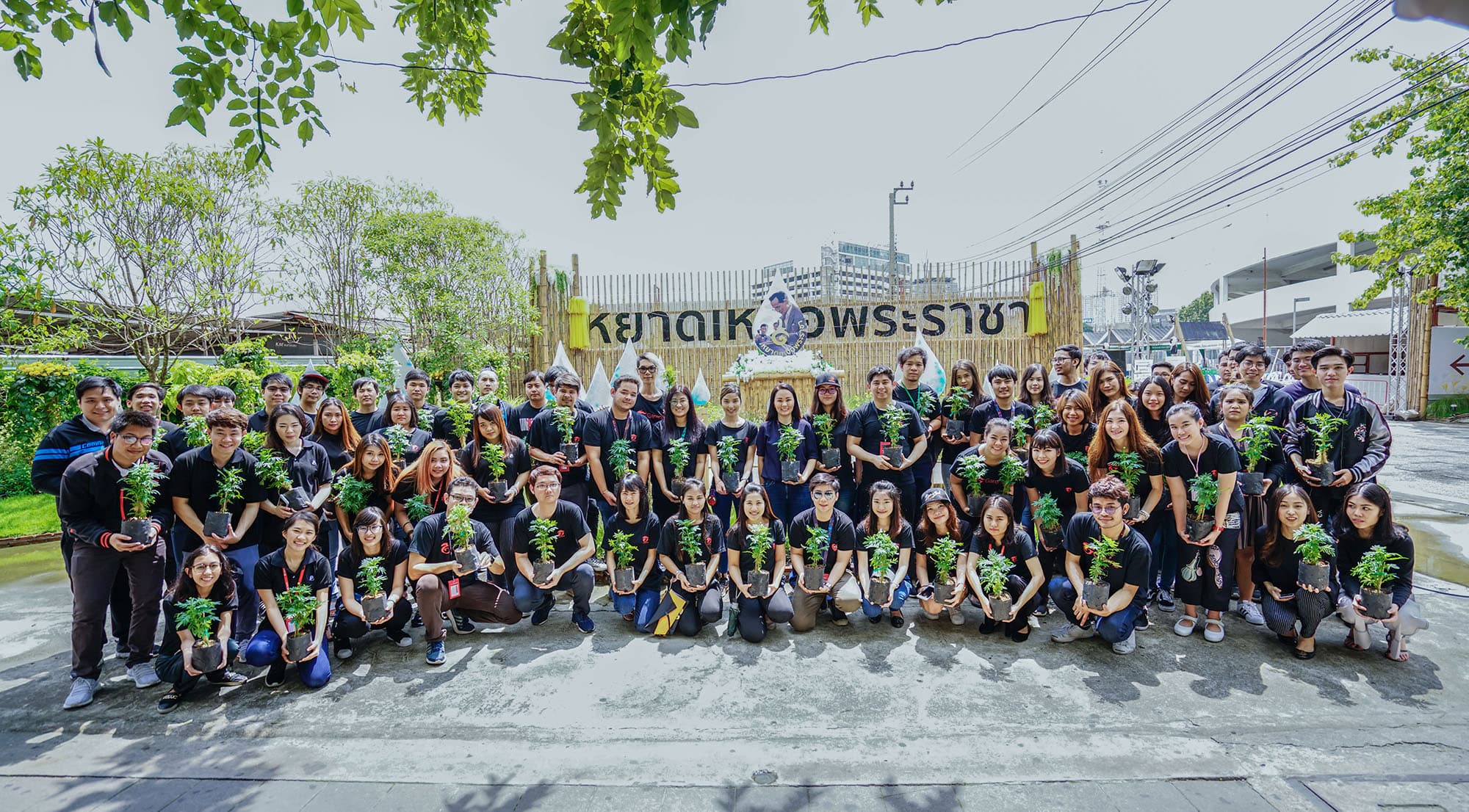 Sea Thailand representatives planted marigolds at Yat Ngeua Phraracha Park (3)