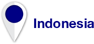 pin_indo pin_indo